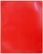 Plastic 2-Pocket Folders - Clear Overlay on Front and Back - Made in U.S.A